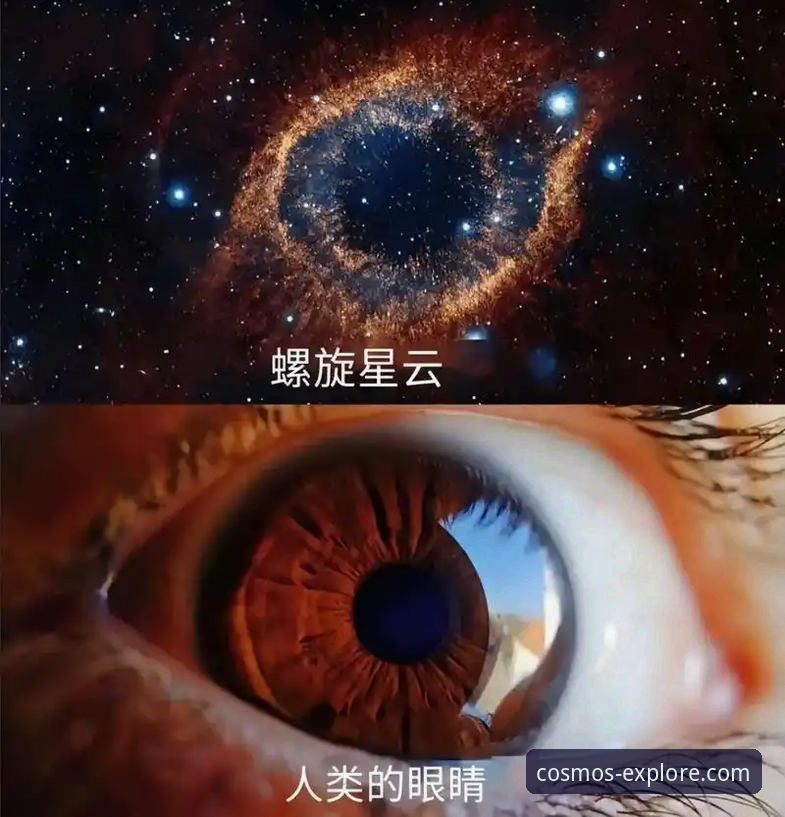 星空体育平台 vs 普通游戏平台：探索无限可能的全面对比