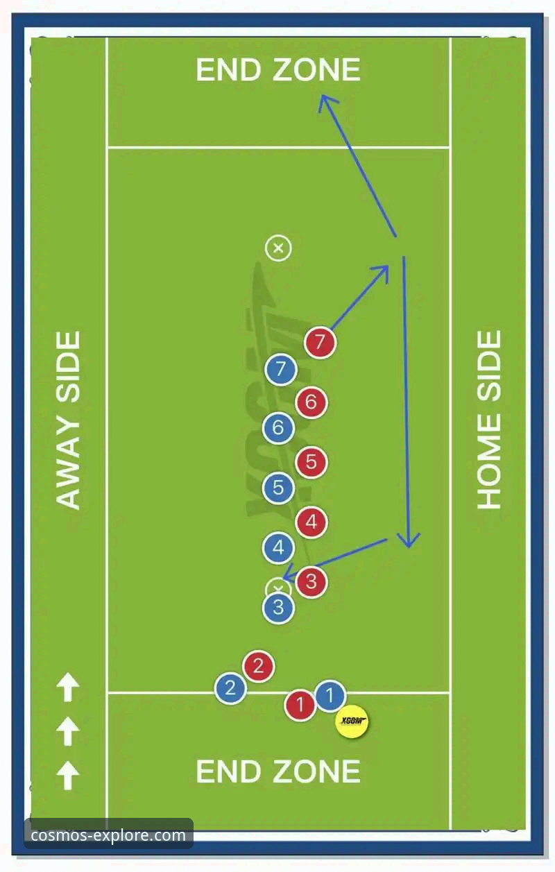 掌握战术细节：通过星空体育平台深度解析阿森纳角球制胜教程