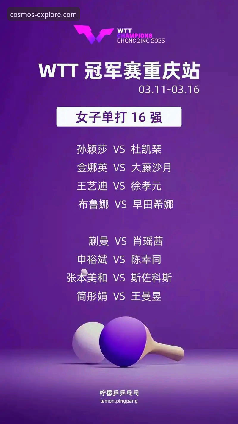 星空官方网站入口 3个关键转折点,复盘WTT重庆冠军赛的青春风暴